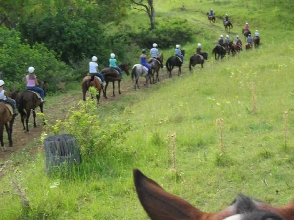 Gumnuts Farm Resort Canungra 0*,  Australia
